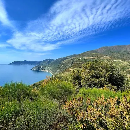 Giglio 4*