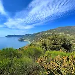 Giglio 4*